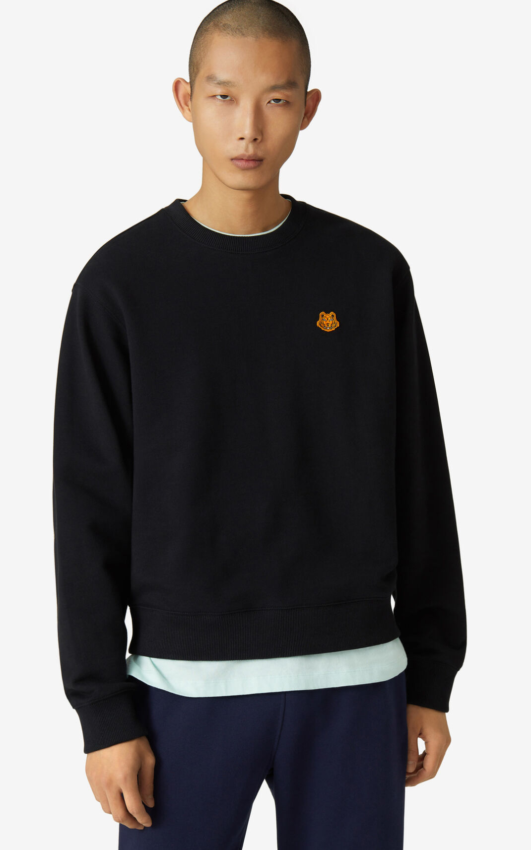 Kenzo Tiger Crest Sweatshirt Erkek Siyah | 8756-WBQZX